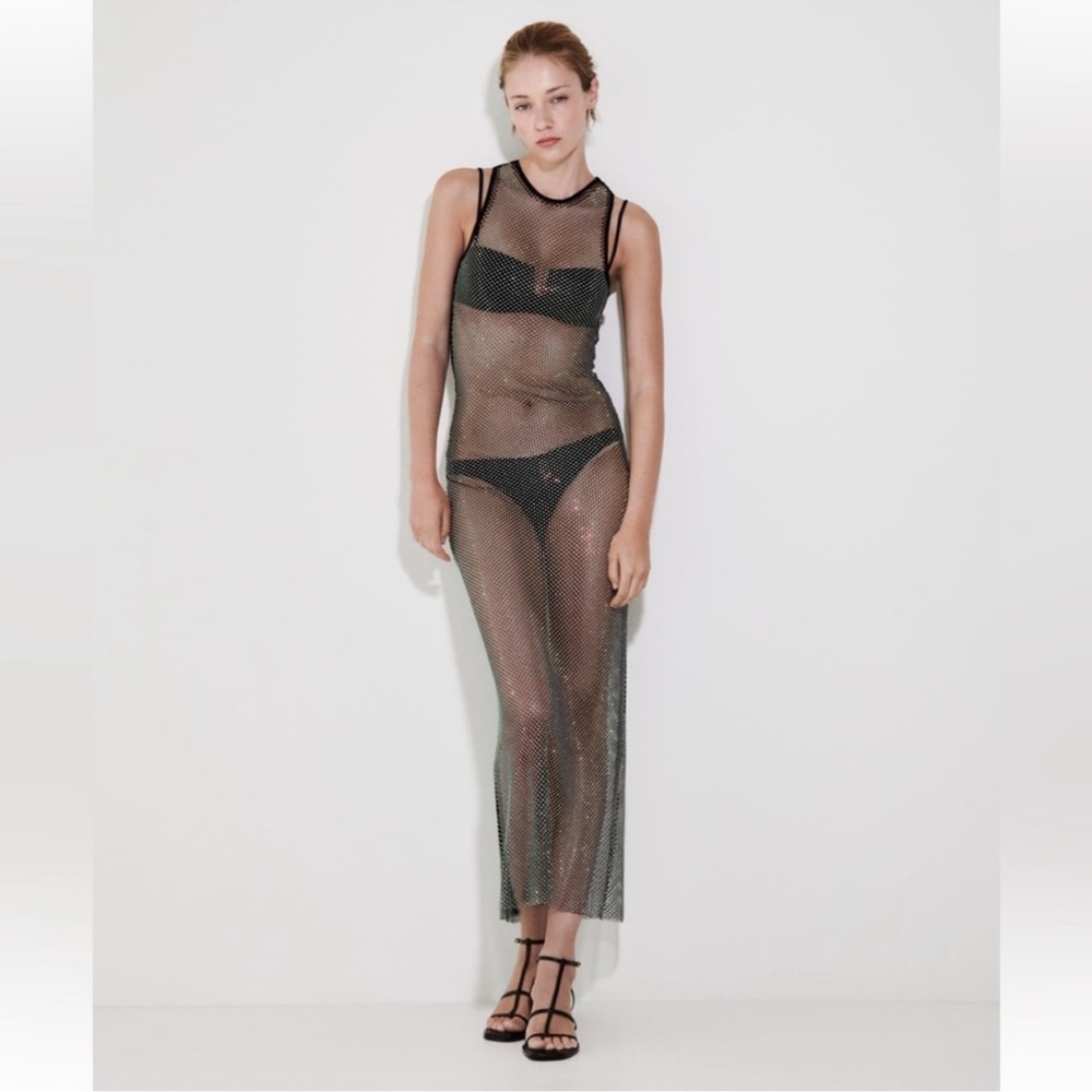 Zara Shimmery Long Mesh Dress